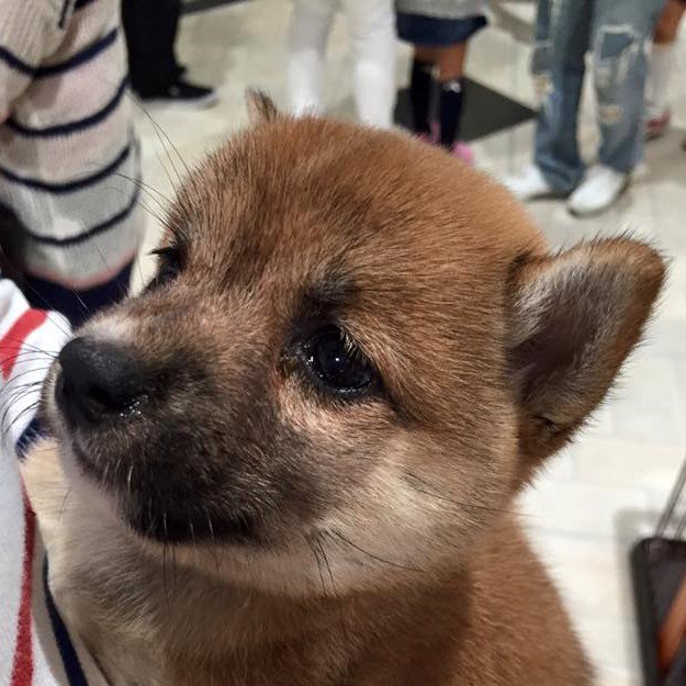 デモ：正方形書影＆リンクなし