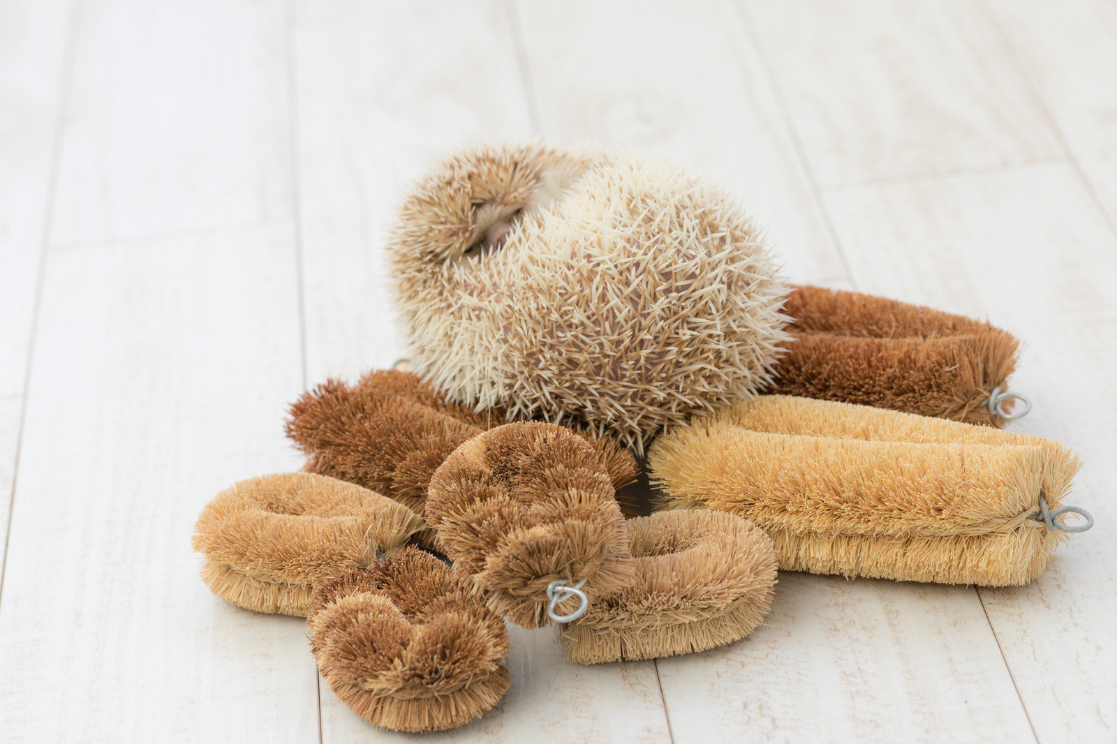 デモ：横長書影